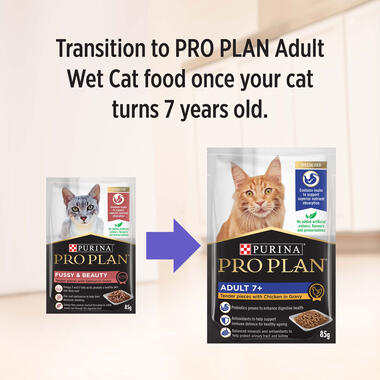 PRO PLAN Fussy Beauty Tender Pieces with Salmon Gravy Wet Cat Food